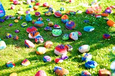 Painted pebbles.  Photo by www.cheltphoto.co.uk